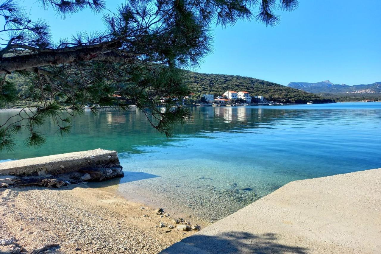 Apartments By The Sea Luka Dubrava, Peljesac - 284 Janjina Bagian luar foto